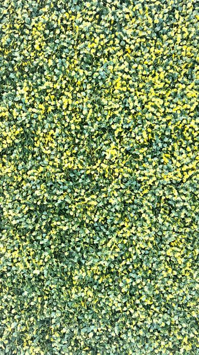 Jardim Vertical, + de 5m2 vendo mais barato