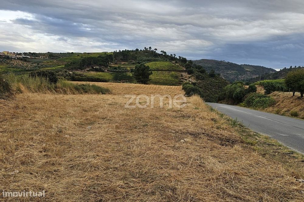 Terreno rústico , Murça