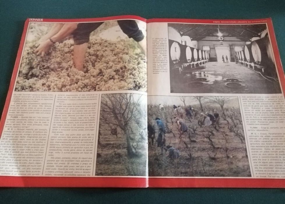 Separatas Revista “Flama”