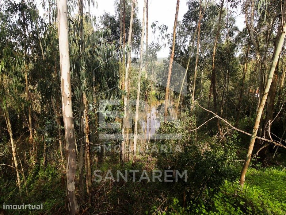 Terreno com cerca de 1 Hectare