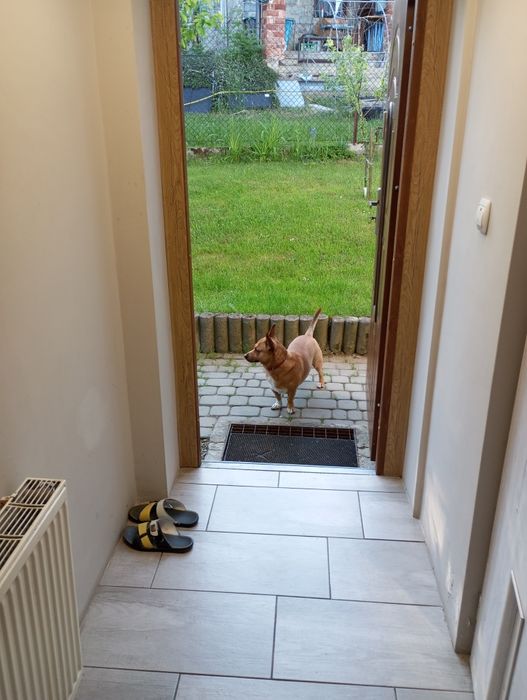 Tanie pokoje nad jeziorem Mucharskim