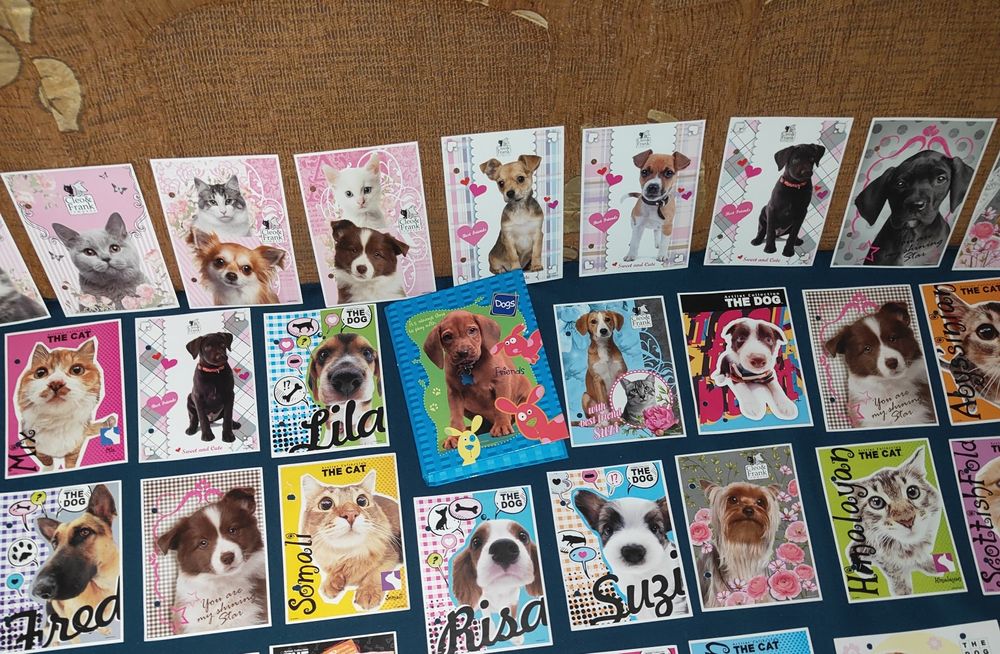 NOWY zestaw karteczek do segregatora i Nowy segregator.