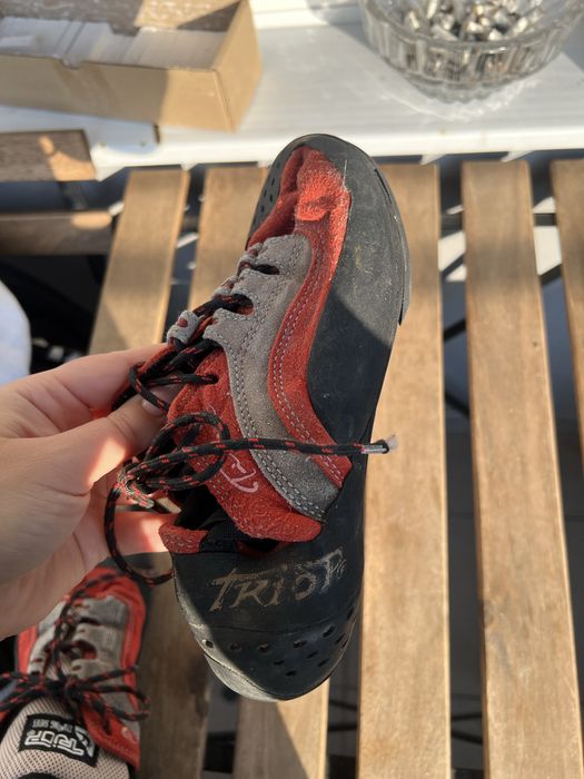 Скельники замшеві