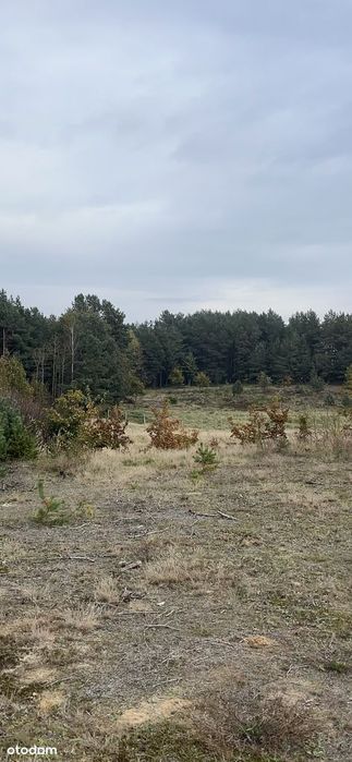 Działka budowlana 1193 m² | Chwaszczyno | Las | 20 min od Gdyni - Widok 3