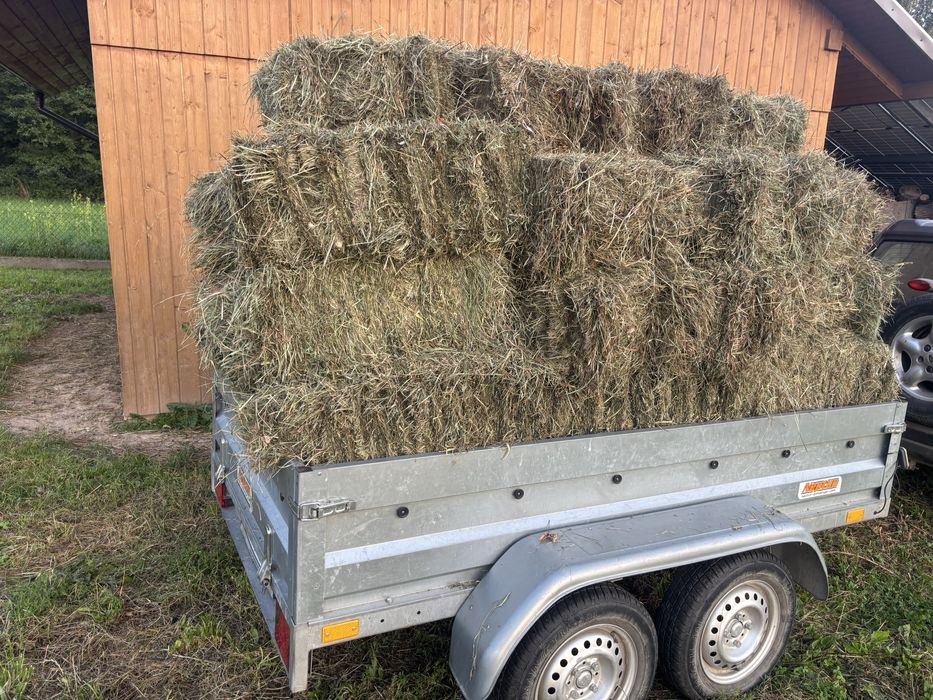 Siano kostki drugi pokos 2025