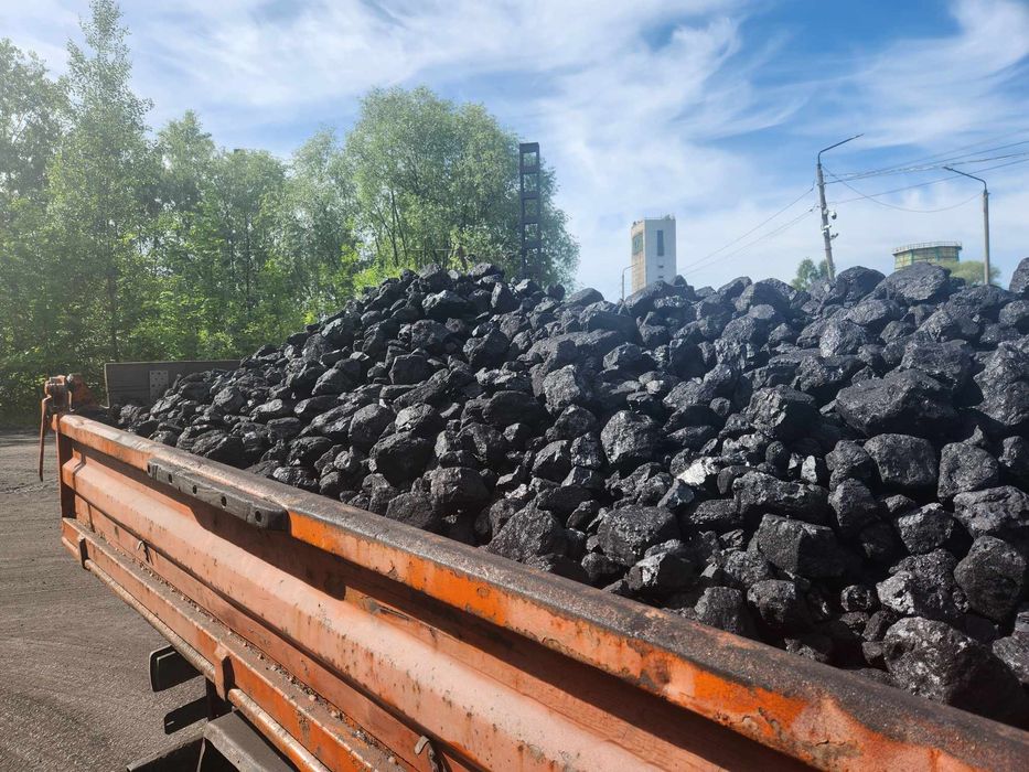 Węgiel PGG orzech kostka groszek