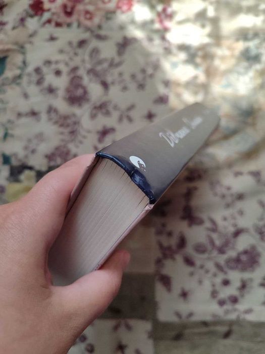 Дівчина Онлайн, книга 1, Зої Заґґ