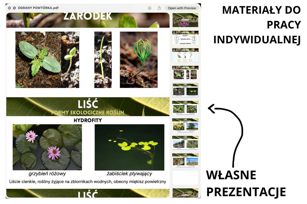 Korepetycje | Biologia Rozszerzona | Online