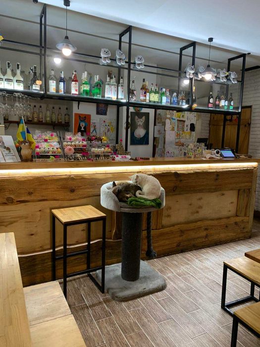 Коммерческая недвижимость по адресу Франко Ивана ул. (площадь 138 м²) - Atlanta.ua - фото 2