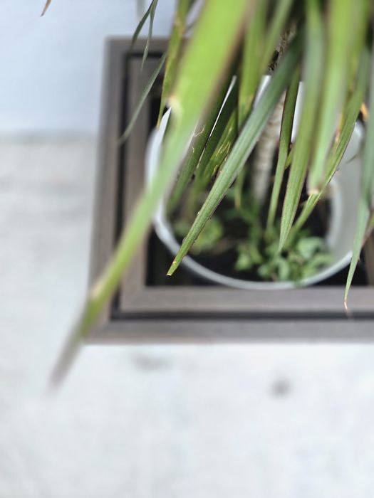 Floreira em  PVC - Dê um toque de charme ao seu jardim com uma floreira artesanal
