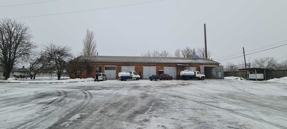 Нежитлові будівлі, 498.2 кв. м, смт Шишаки, вул. Будівельників, 9