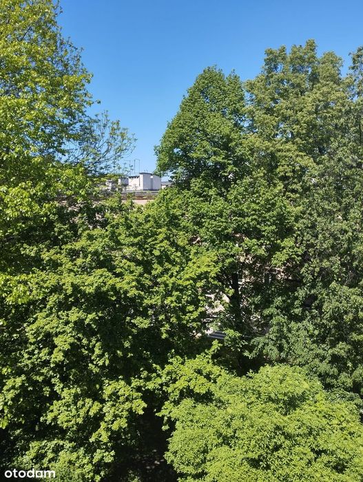 Sprzedam przestronne 3-pokojowe mieszkanie w Krakowie
