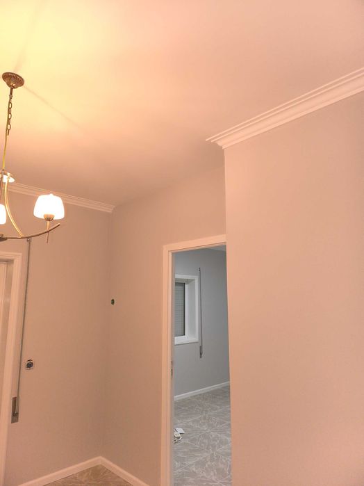 Pintura e e serviço de bricolage e limpeza