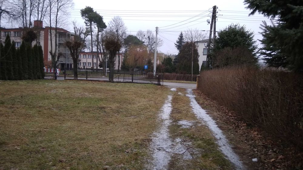 Zdjęcie 3