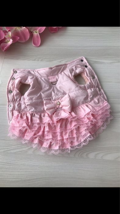 Одежда для собак