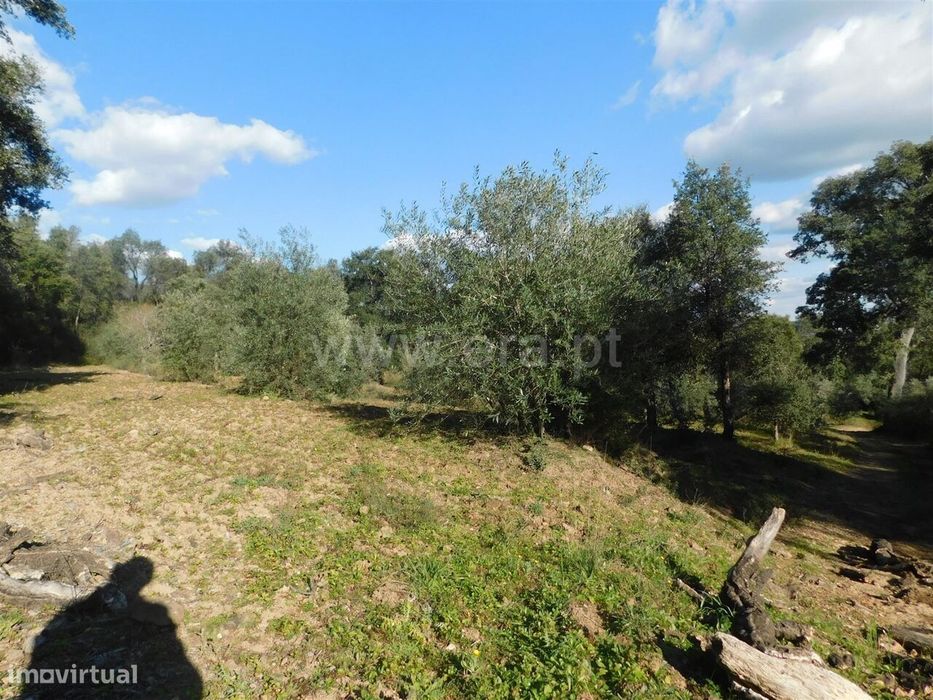 Terreno / Fundão, Telhado — Telhado, Castelo Branco