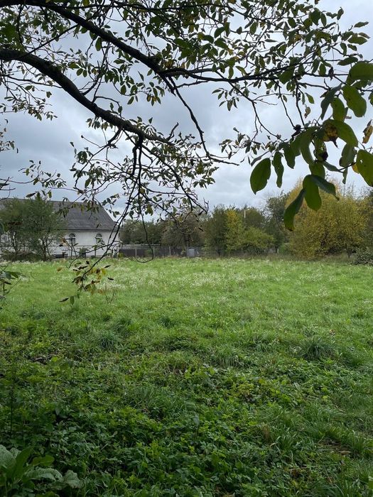 Земля Березівка. 23сот.під будівництво. Поруч з дорогою.