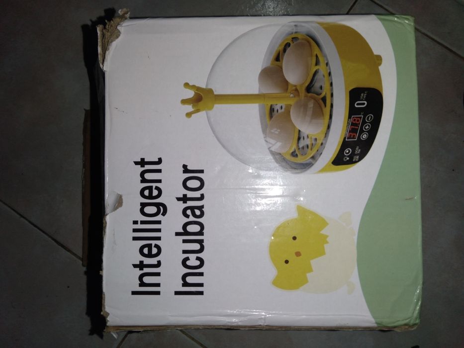 Incubadora de 4 ovos