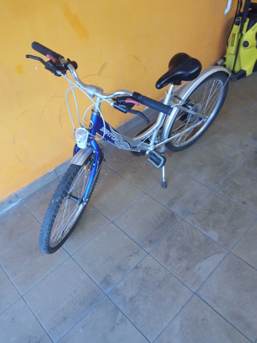 Rower sektor classic 24