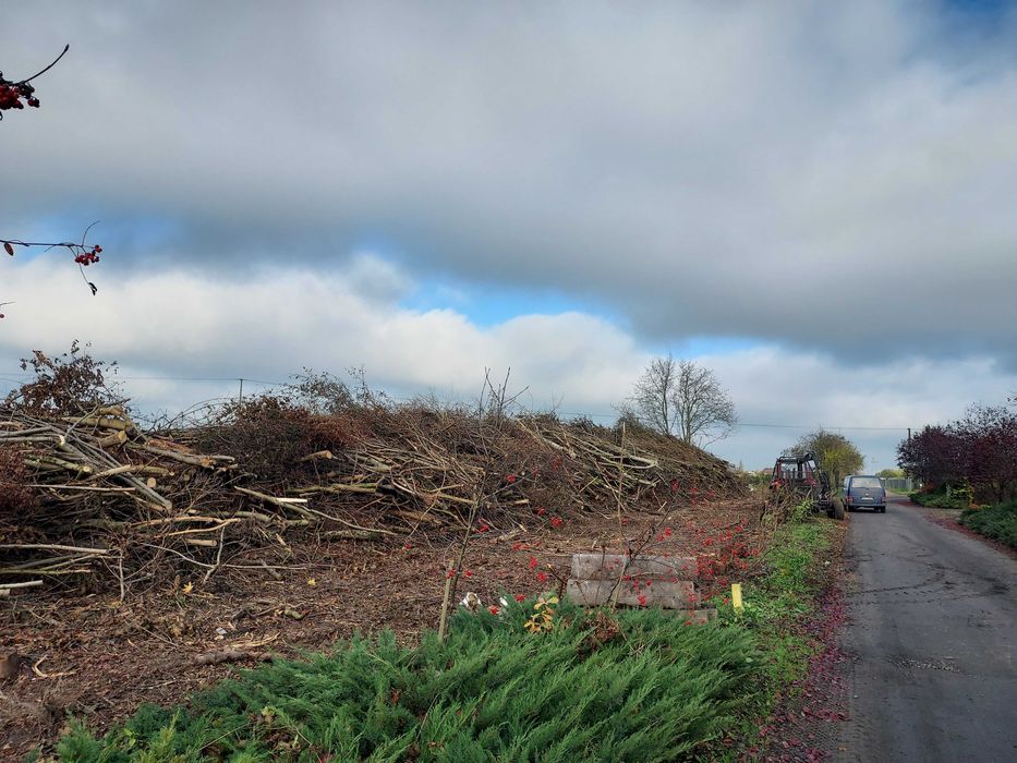 Wycinanie trudnych drzew trudnych, koszenia