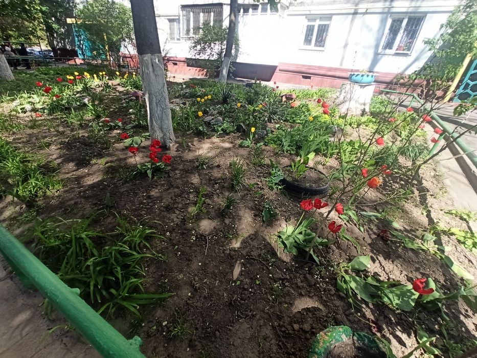 продам 2к квартиру, вул. Цитрусова/"Золота осінь"