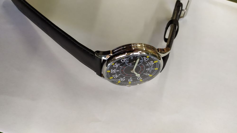 Mołnia pasówka pilot