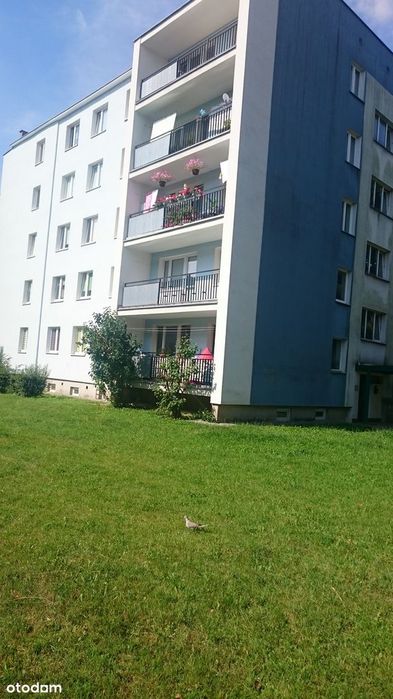 Mieszkanie, Świdnik