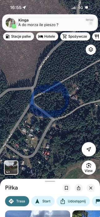 Sprzedam działke leśną