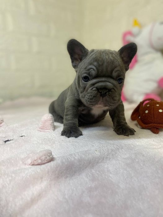 Найгарніший хлопчик