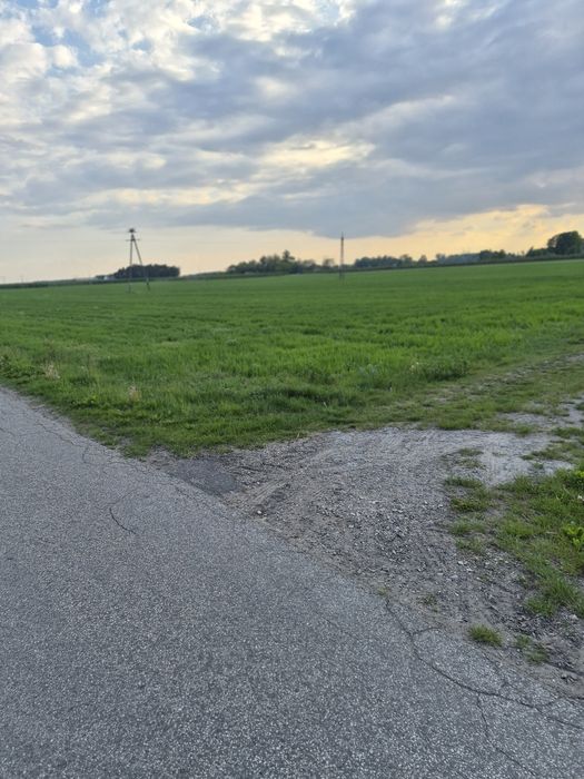 Działki budowlane z WZ, Konstantynów, gmina Rybno - Widok 5