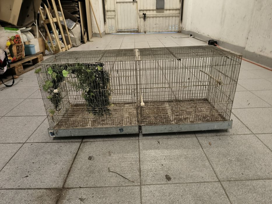 Gaiolas Reprodutores 1m