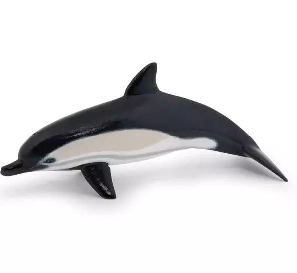 Delfin zwyczajny. Nowy Produkt