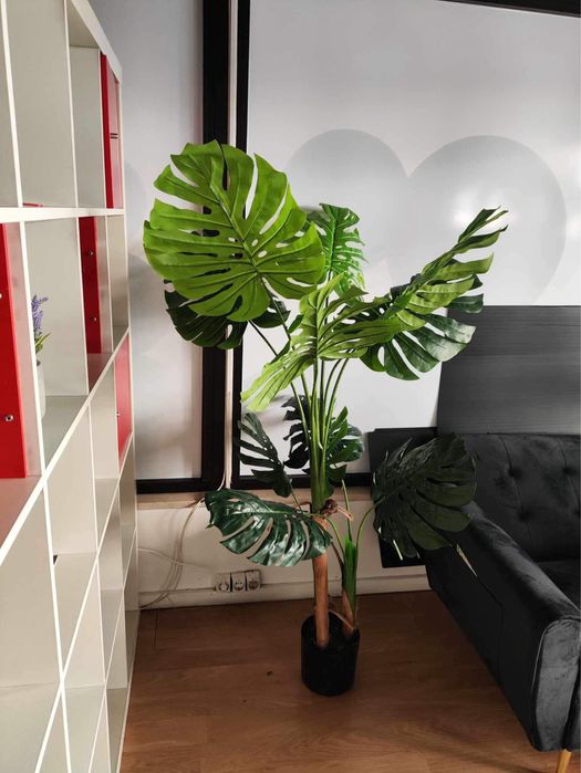 Costela de adao artificiais lindissimas para decoracoes com entrega