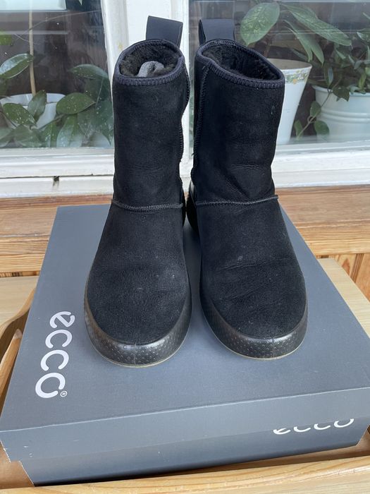 Замшеві черевики Ecco