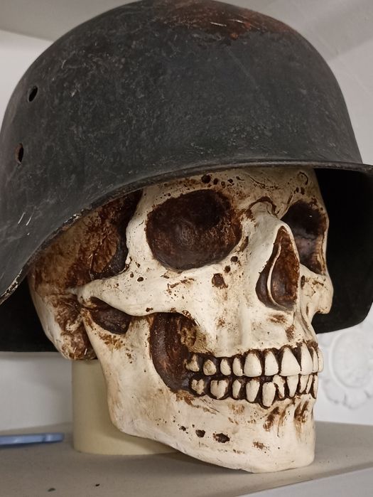 Череп гіпсовий для експозиції
