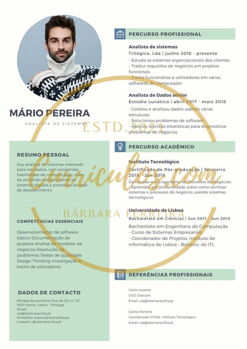 Currículos Profissionais