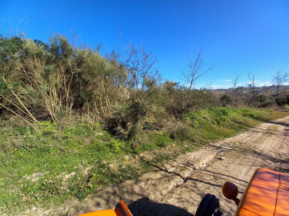 Terreno Rustico - 2.5 hectares - Travanca de Lagos
