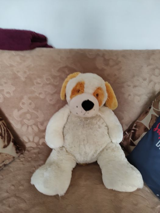 Pluszowy piesek  spory