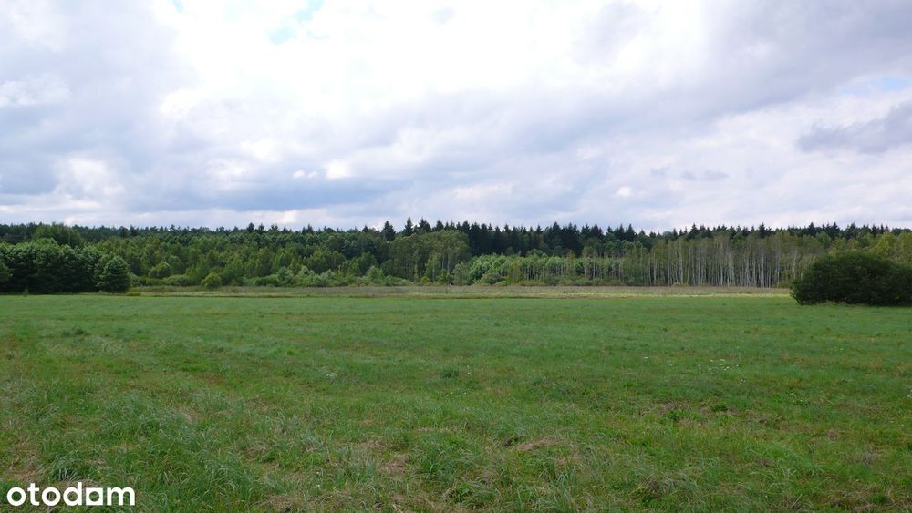 Okazja Inwestycyjna – 17 Ha Pod Rekreację, Turystykę Lub Stadninę Koni