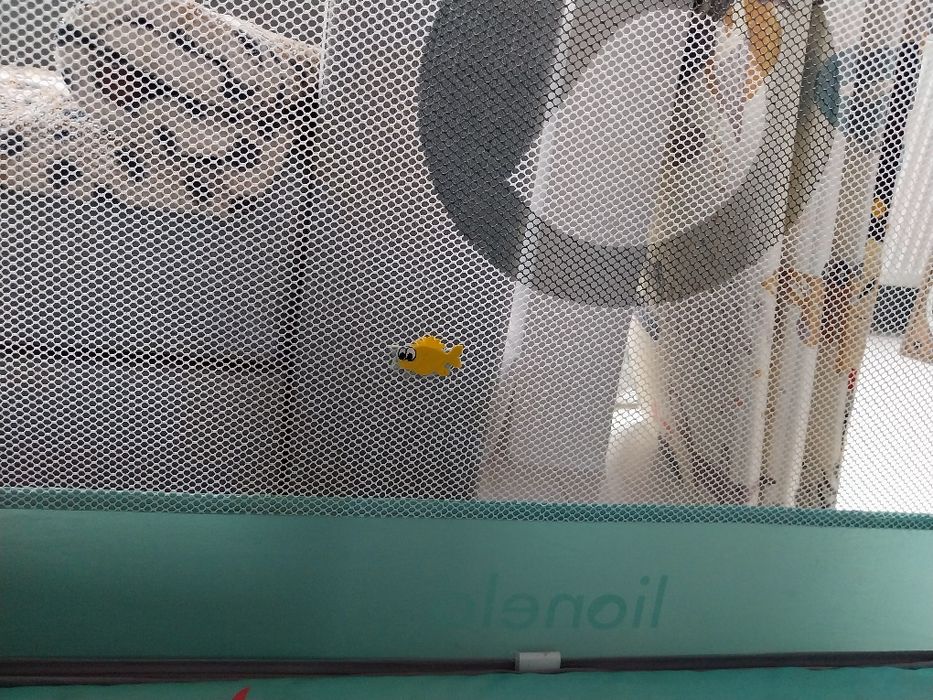 Kojec łóżeczko niemowlęce lionelo