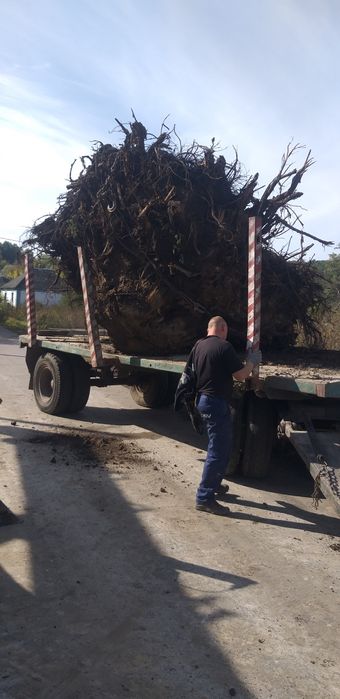 Послуги екскаватора оренда екскаватор копаня траншеї  корчування