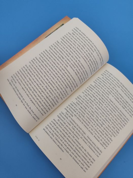 Livro "Uma mulher de confiança" de Robert Goolrick