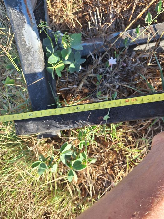 Perola em ferro para jardim