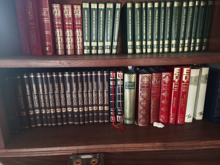 Lote de Livros e Enciclopédias – Mirandela (Venda Conjunta)