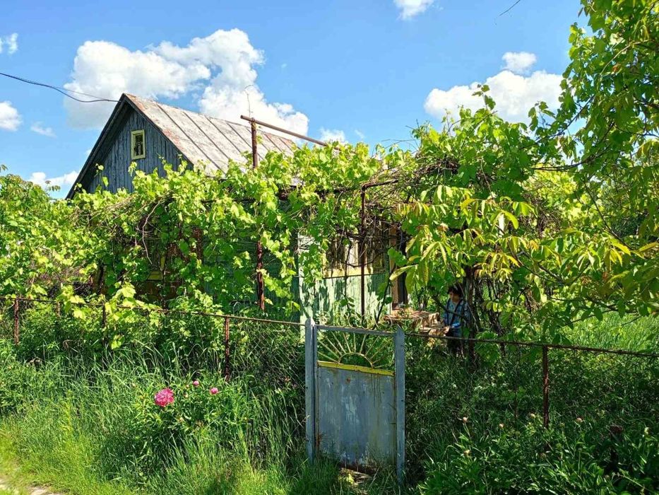 Продаж будинку  дачного до Десни 800 м  5 соток