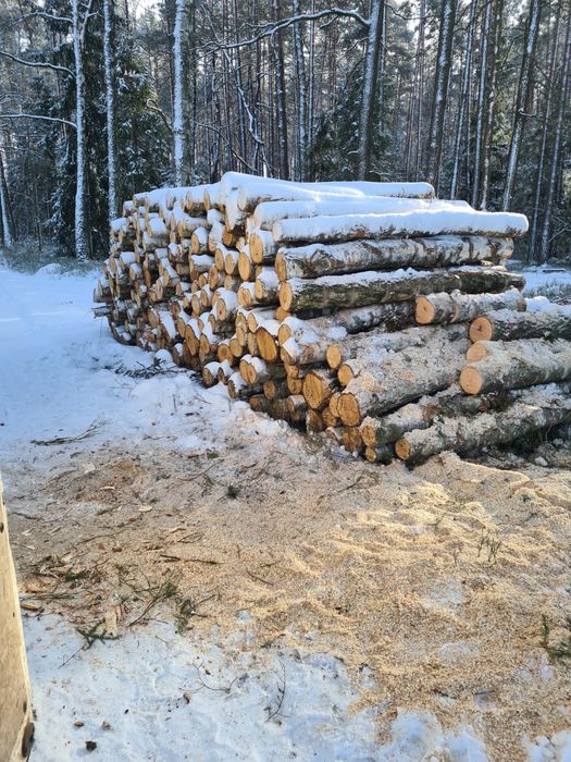 Drewno opałowe/kominkowe