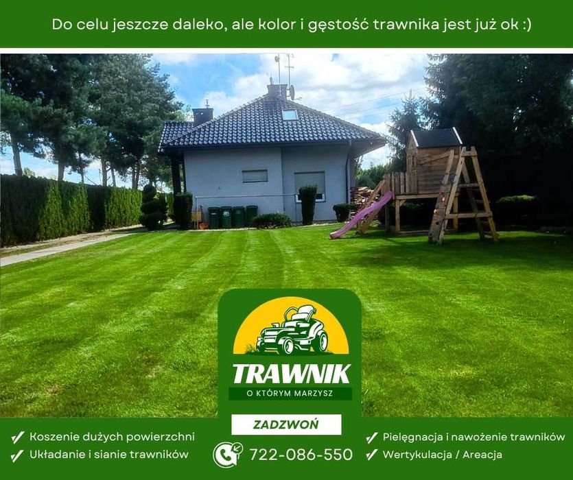 Pielęgnacja trawnika: aeracja, wertykulacja, przycinanie krzewów