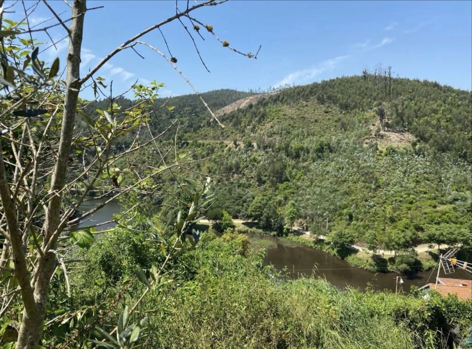 Qintinha no Douro
