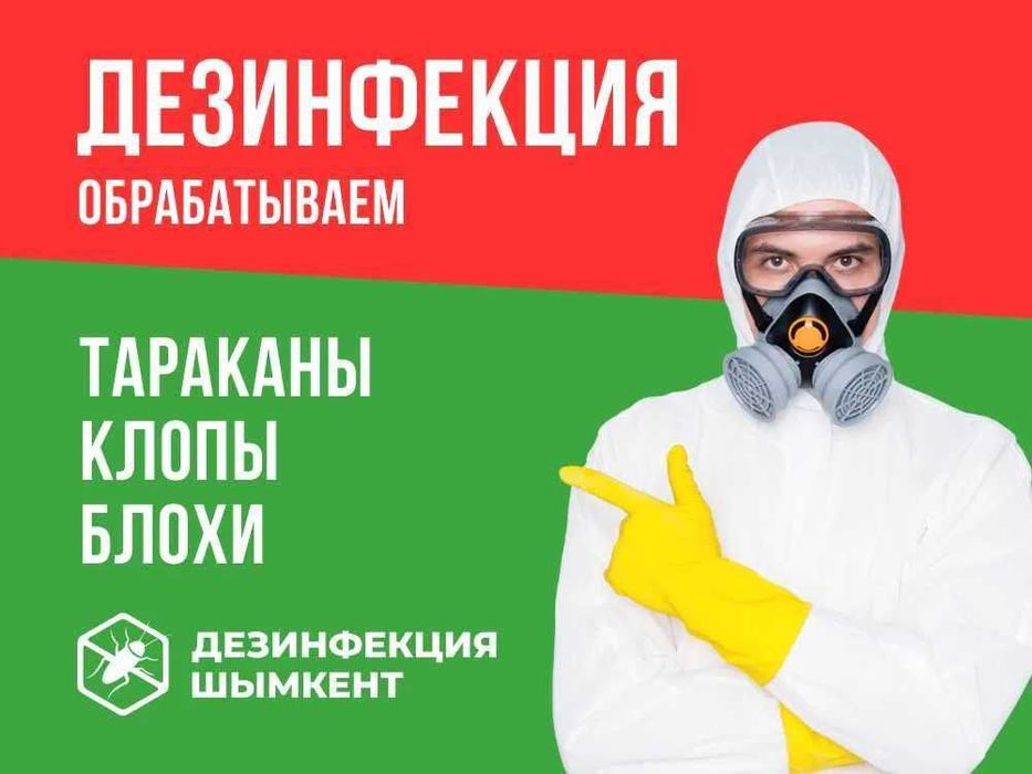 Знищення Тарганів Клопів Уничтожение тараканов клопов блох дезинфекция после Трупа Смерти Запах Озонирование