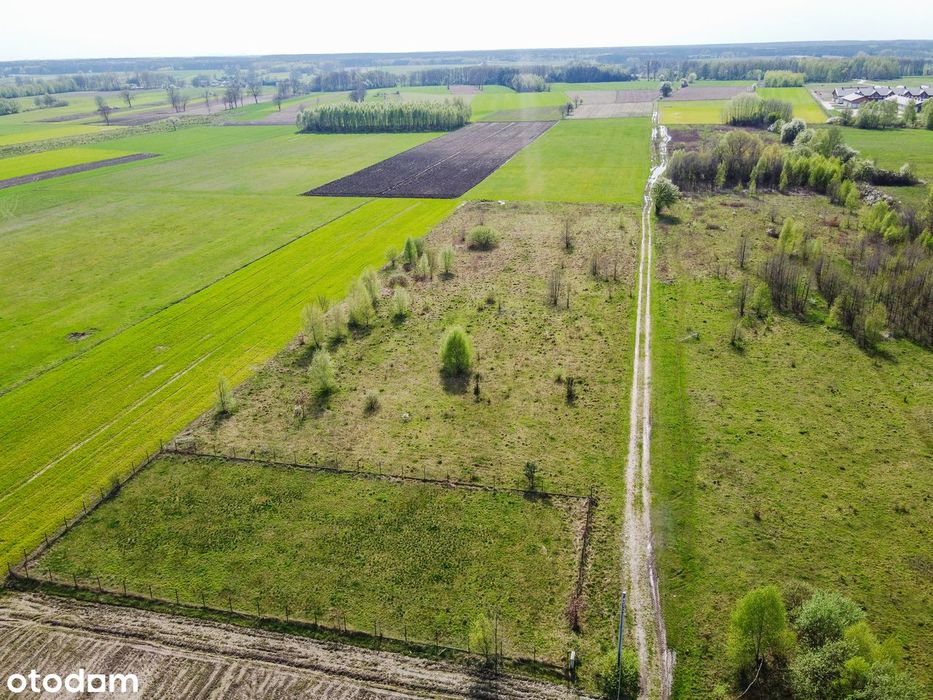 Działka budowlana 3000 m²  w spokojnej wsi Budy Ciepielińskie – pohled 2